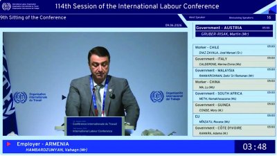 The voice of Armenian employers was heard at the 114th International Labour Conference